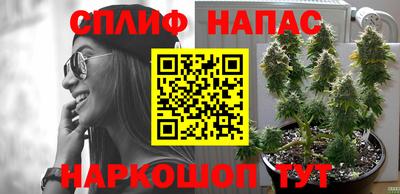 трава Севастополь