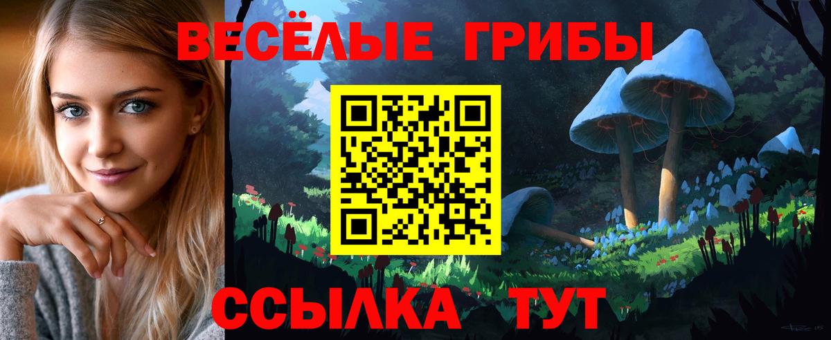 Галлюциногенные грибы GOLDEN TEACHER  Вход с VPN  Орск  Галлюциногенные грибы MAGIC MUSHROOMS 